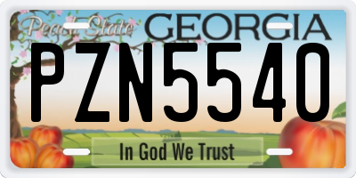 GA license plate PZN5540