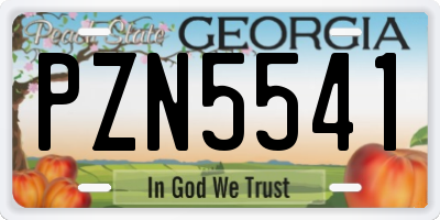 GA license plate PZN5541