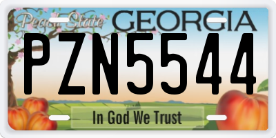 GA license plate PZN5544