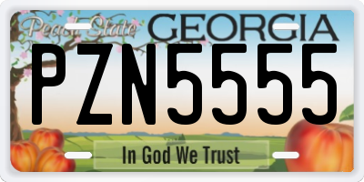 GA license plate PZN5555