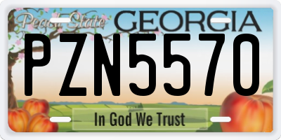GA license plate PZN5570