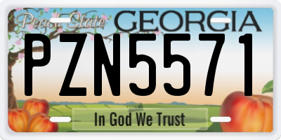 GA license plate PZN5571