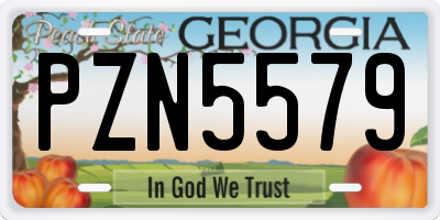 GA license plate PZN5579