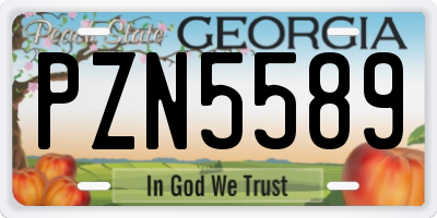 GA license plate PZN5589