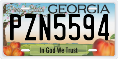 GA license plate PZN5594