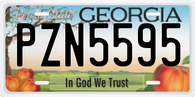 GA license plate PZN5595
