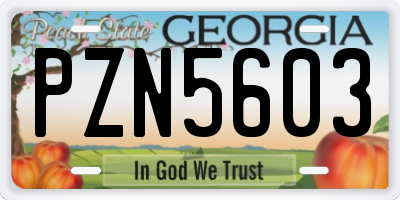 GA license plate PZN5603