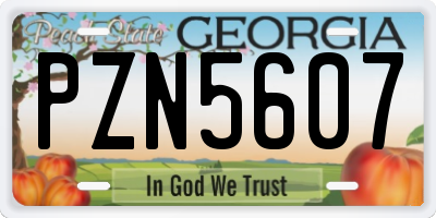 GA license plate PZN5607