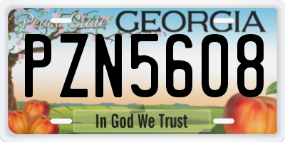 GA license plate PZN5608