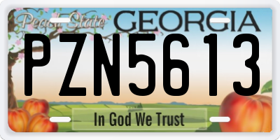 GA license plate PZN5613