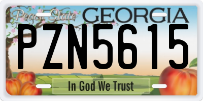 GA license plate PZN5615