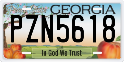 GA license plate PZN5618
