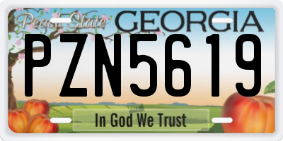 GA license plate PZN5619