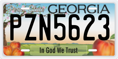 GA license plate PZN5623