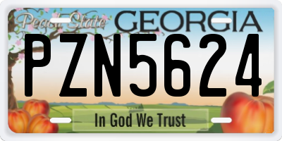 GA license plate PZN5624