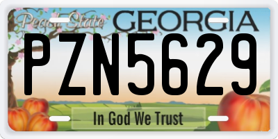 GA license plate PZN5629