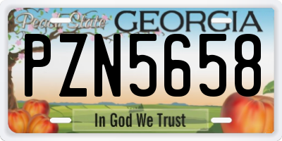 GA license plate PZN5658