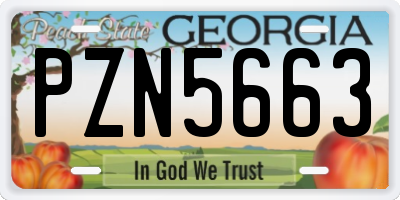 GA license plate PZN5663