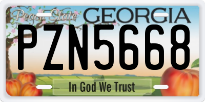 GA license plate PZN5668