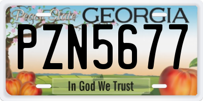 GA license plate PZN5677