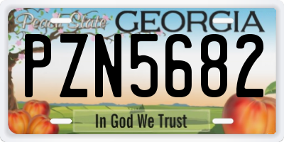 GA license plate PZN5682