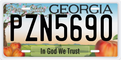 GA license plate PZN5690
