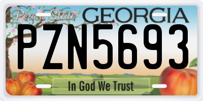 GA license plate PZN5693
