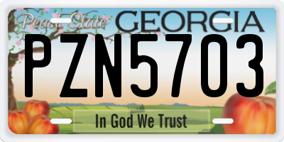 GA license plate PZN5703