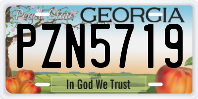 GA license plate PZN5719