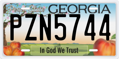 GA license plate PZN5744