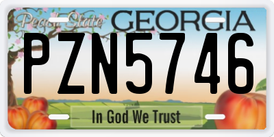 GA license plate PZN5746