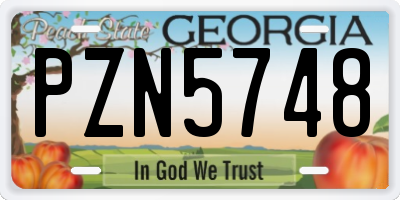 GA license plate PZN5748