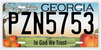 GA license plate PZN5753