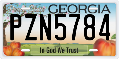 GA license plate PZN5784