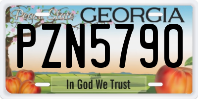 GA license plate PZN5790