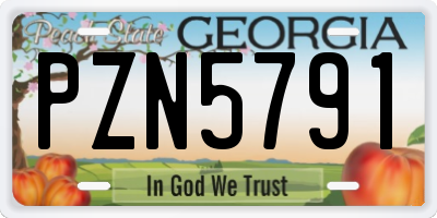 GA license plate PZN5791