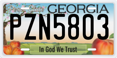 GA license plate PZN5803