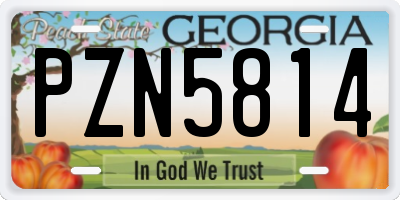 GA license plate PZN5814