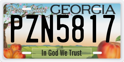 GA license plate PZN5817