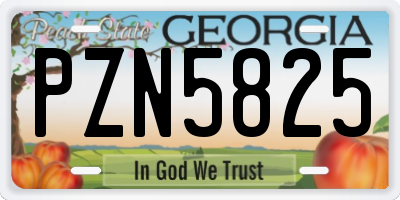 GA license plate PZN5825