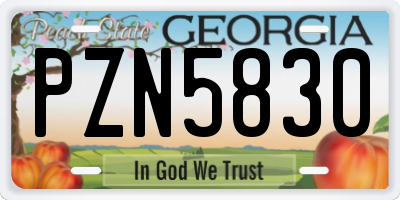 GA license plate PZN5830
