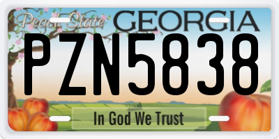 GA license plate PZN5838