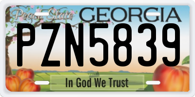 GA license plate PZN5839