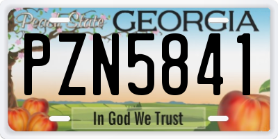 GA license plate PZN5841