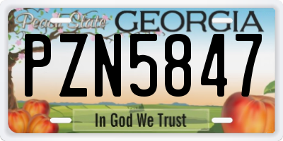 GA license plate PZN5847