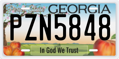 GA license plate PZN5848