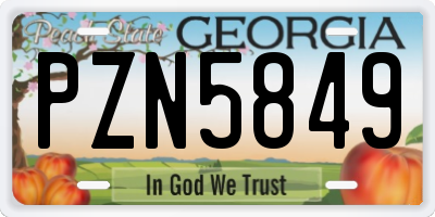 GA license plate PZN5849