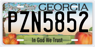 GA license plate PZN5852