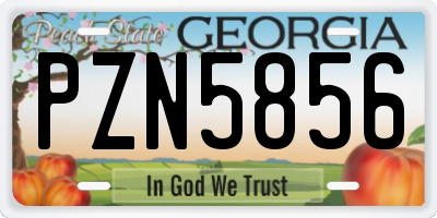GA license plate PZN5856