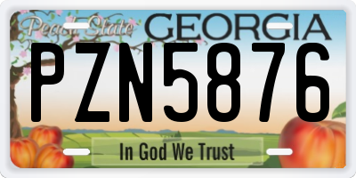 GA license plate PZN5876